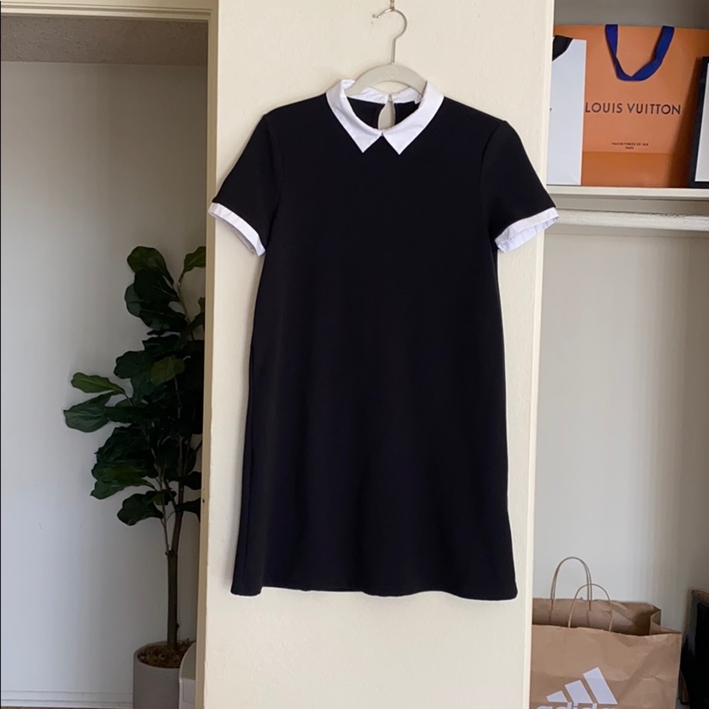 ✨ EUC Zara Collared Shift Dress ✨
